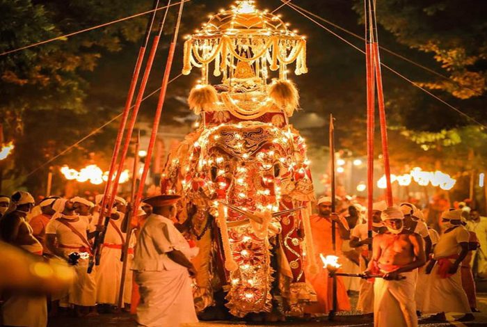  දළඳා පෙරහැරේ සධාතුක කරඬුව වැඩම කිරීමට පිංවන්ත වූ හස්තියෝ