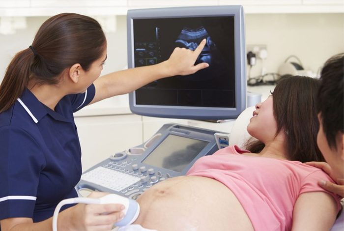 morphology scan