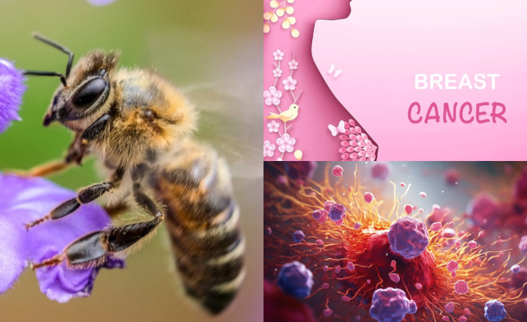  මාරාන්තික පිළිකා සෛල විනාශ කරන මීමැසි විෂ